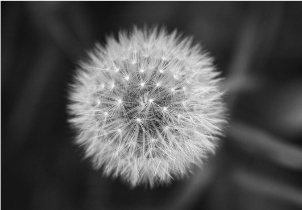 Investigación y creatividad para un futuro sostenible